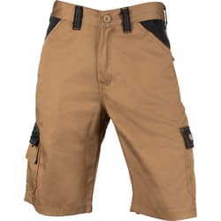 Dickies Everyday Shorts